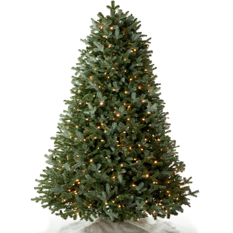 AMERZEST Prelit Fraser Fir Christmas Tree & Reviews Wayfair